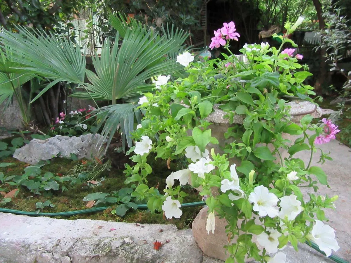 Apartman Julia Apartment Rijeka Croatia